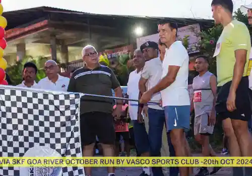 Verna Industrial Association